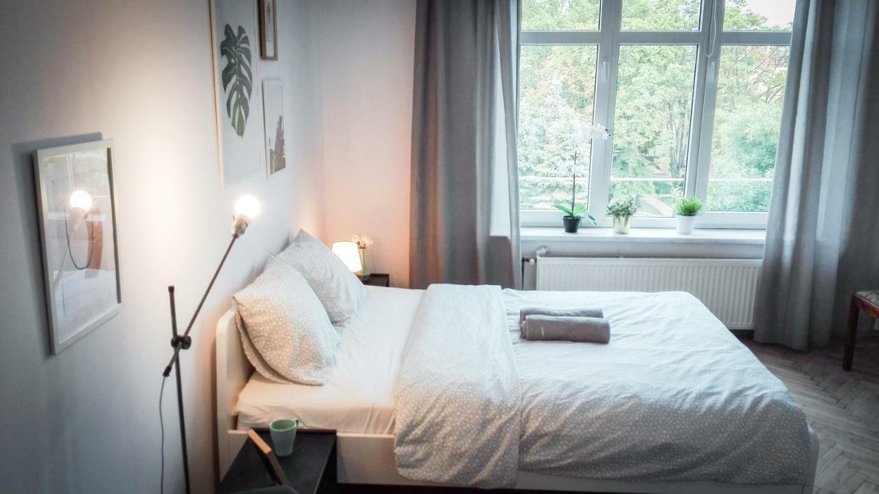 Lion - Silver Homestay Krakow